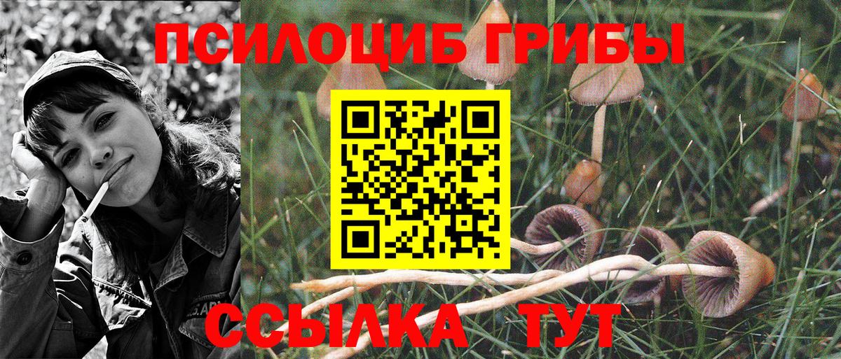 Псилоцибиновые грибы мухоморы  Галлюциногенные грибы Magic Shrooms  Вход с VPN  где купить наркоту  Нововоронеж 