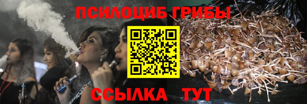 Меф кристаллы  Мефедрон  Cocaine  Нововоронеж  Гашиш  Вход с VPN 